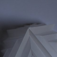 IMG_2267